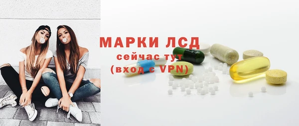 стаф Михайлов
