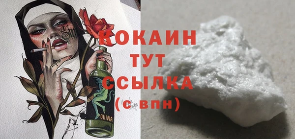 ECSTASY Горняк