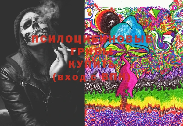 МДПВ Михайловск