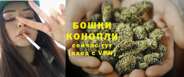 прущие крисы Надым