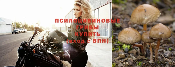 стаф Михайлов