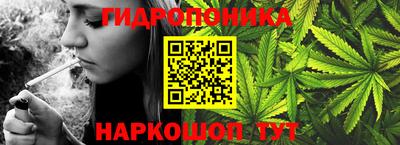 ешки Бийск