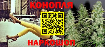 шишки Берёзовский