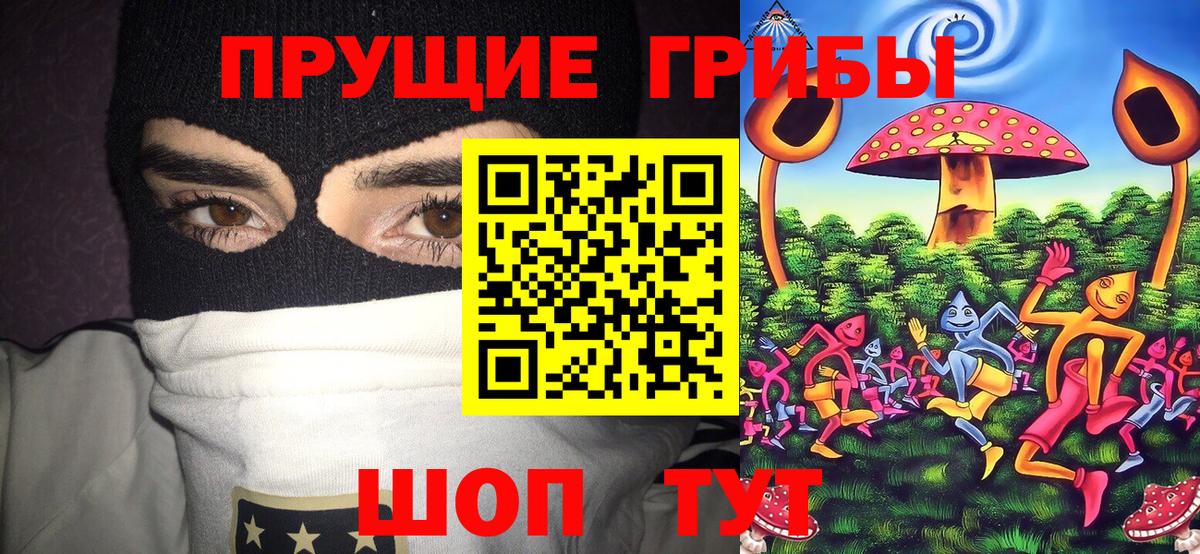 Галлюциногенные грибы MAGIC MUSHROOMS Михайловск
